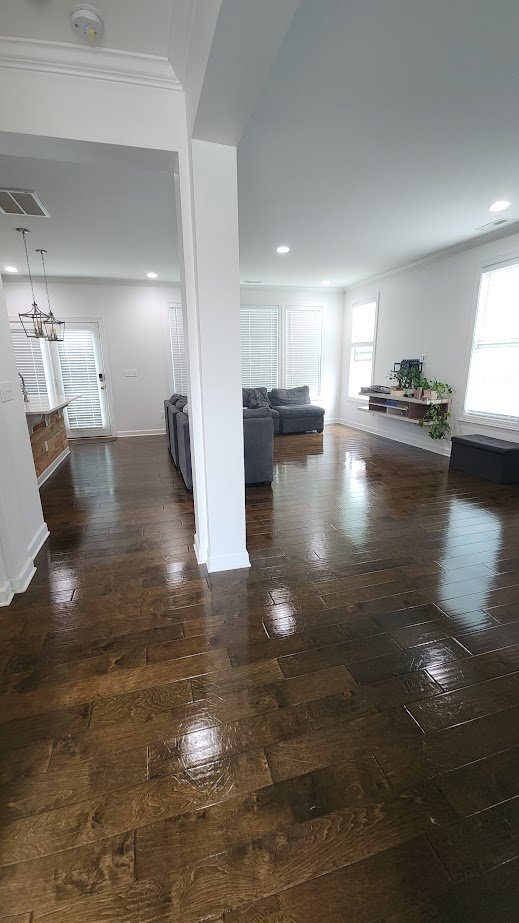 Kitchen Cleaning Project